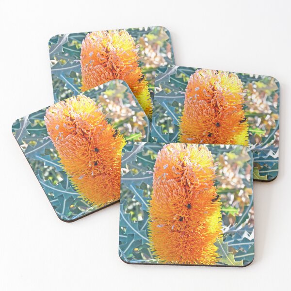 Item preview,  Banksia ashbyi flower designed and sold by Cloudlingpics.