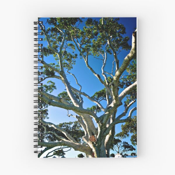 Item preview, Ancient Moreton Bay Fig Tree designed and sold by Extraordinary Light.