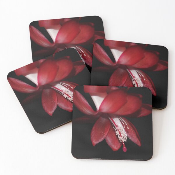 Item preview, Cacti Flower designed and sold by AnnDixon.