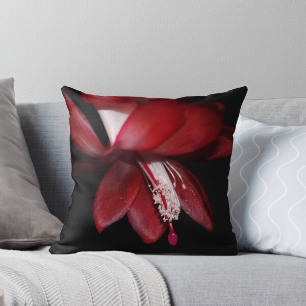 Aperçu de l'œuvre Cacti Flower créée et vendue par AnnDixon.