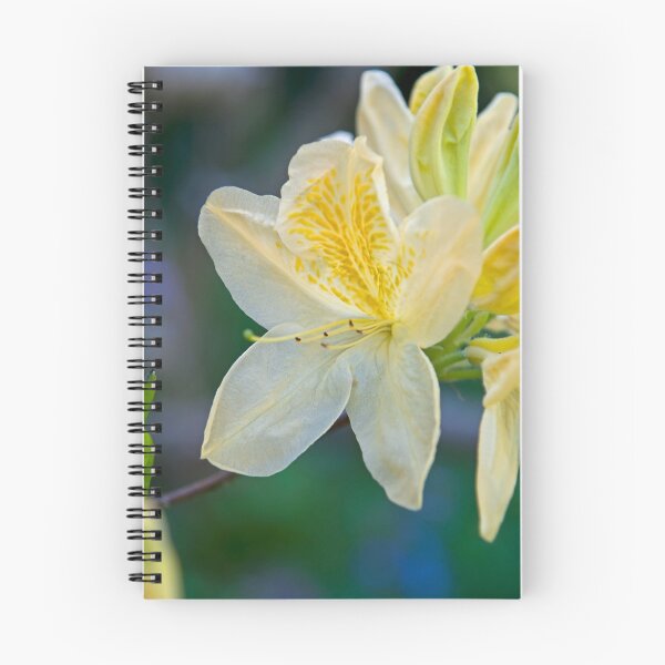 Item preview, White Rhododendron. designed and sold by Aler.