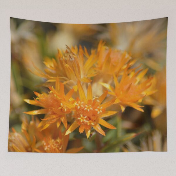 Item preview, orange flower Pilbara Australia designed and sold by Schoensl.