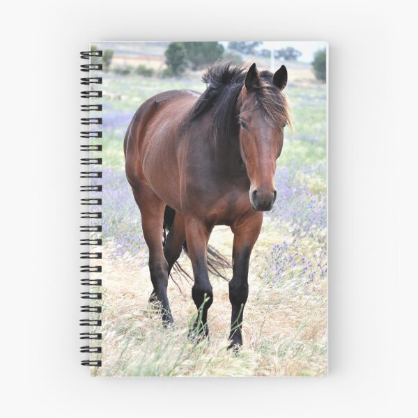 Item preview, Standardbred Gelding designed and sold by julie anne  grattan.
