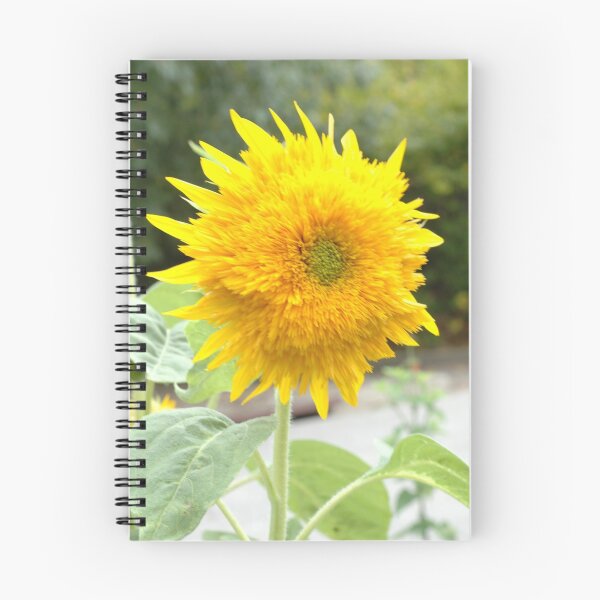 Item preview, Sunflower designed and sold by ss0018.