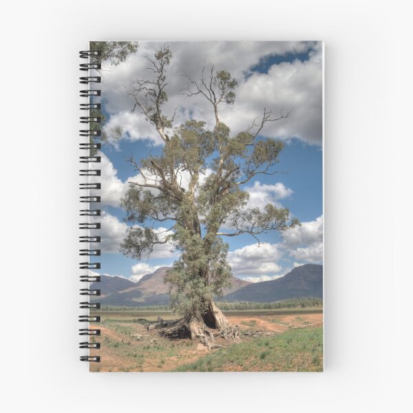 Item preview, The Cazneaux Tree (HDR) , Flinders Ranges, South Australia designed and sold by Adrian Paul.