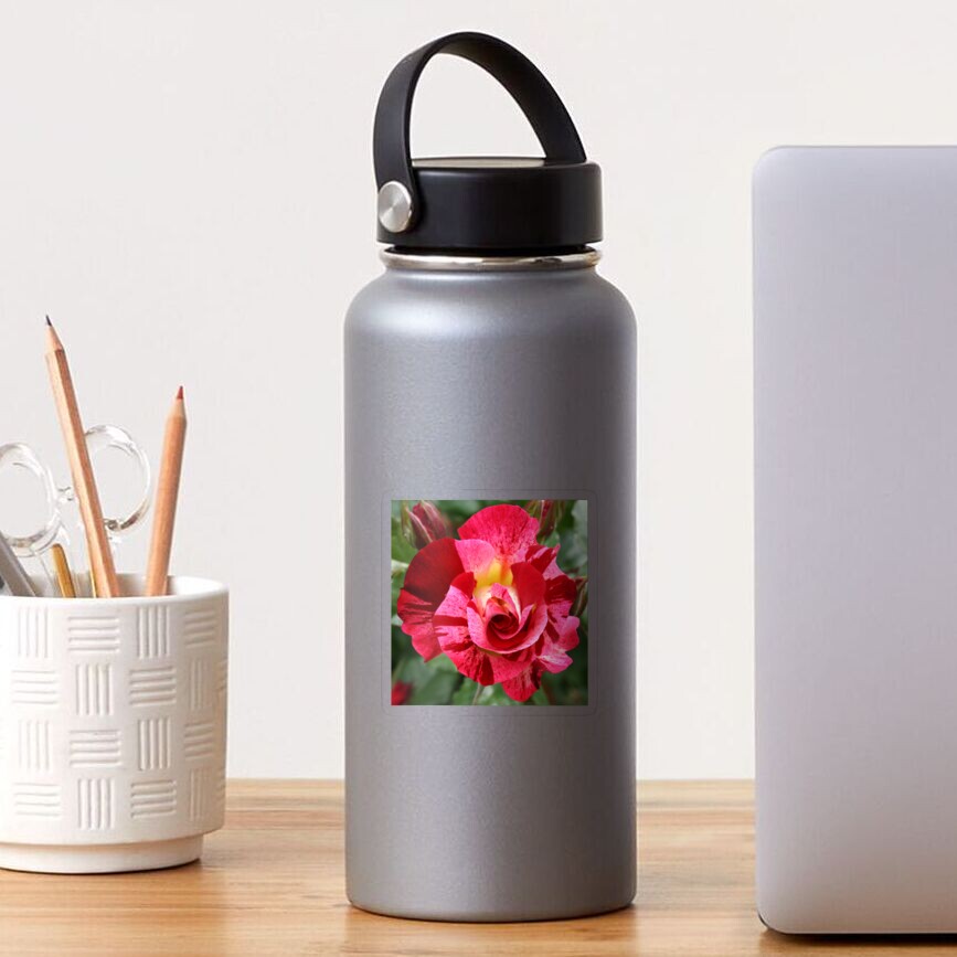 Pink Rose Blossom with green Leaves Sticker