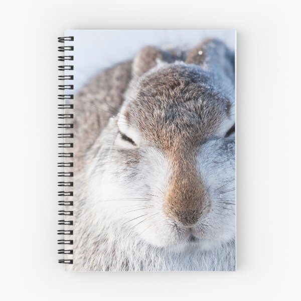 Item preview, mountain hare designed and sold by chanonry.