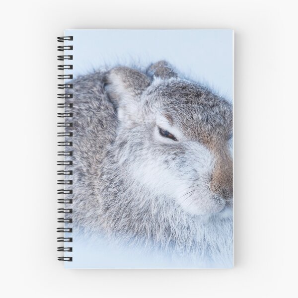 Item preview, mountain hare designed and sold by chanonry.
