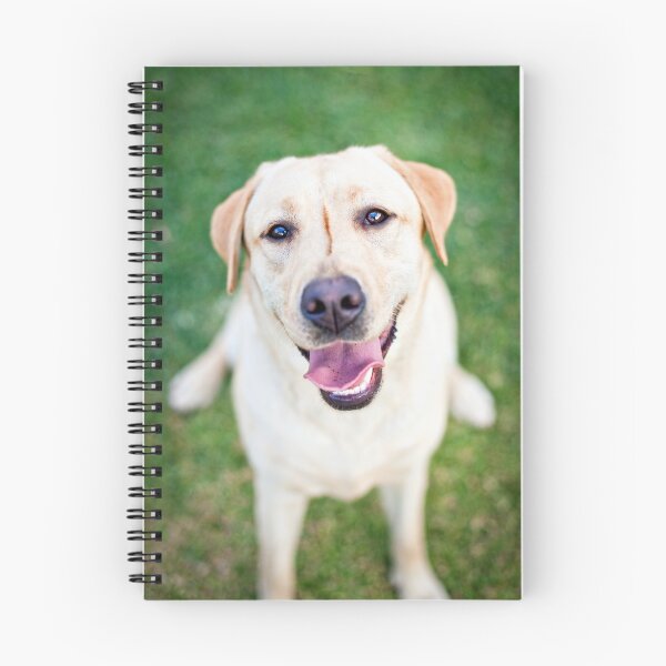 Item preview, Inara the Labrador Retriever designed and sold by Charlotte Reeves.