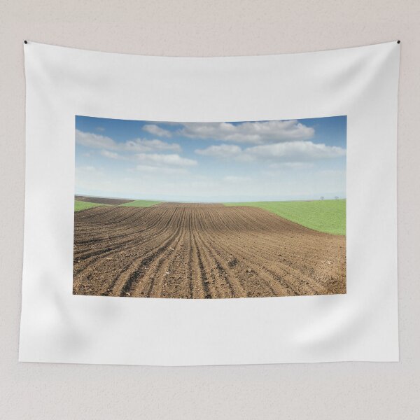 Item preview, plowed field and green wheat landscape spring season designed and sold by goceris.