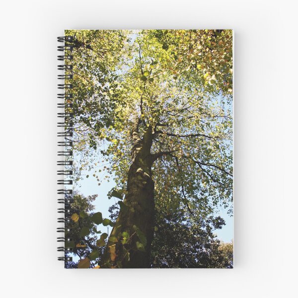 Item preview, Autumn tree designed and sold by Liam O'Brien.