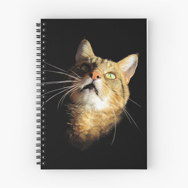 Item preview, What's up there George? designed and sold by Sally Green.