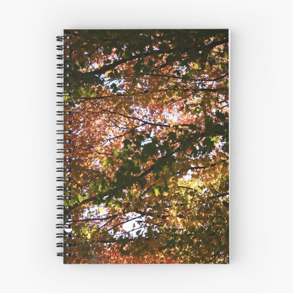 Item preview, Arkansas Fall colors designed and sold by Ginger.