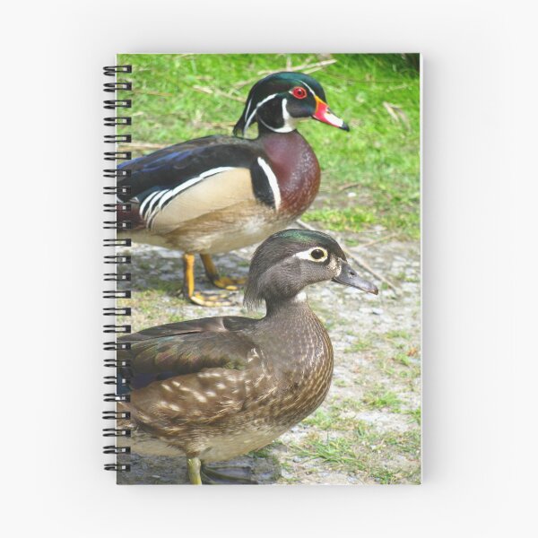 Item preview, What a pair! designed and sold by clester.