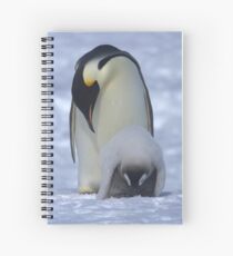 Emperor Penguin and Chick Spiral Notebook