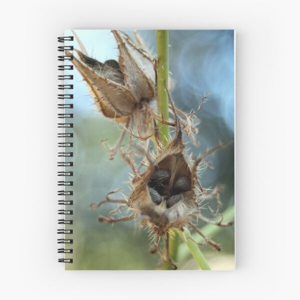 Item preview, Seed Pod designed and sold by RebeccaBlackman.