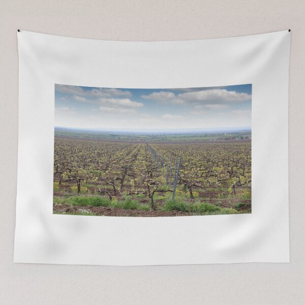 Item preview, Vineyard  country landscape spring season  designed and sold by goceris.