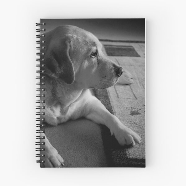 Item preview, A Minute to Rest  designed and sold by Charlotte  Pridding.