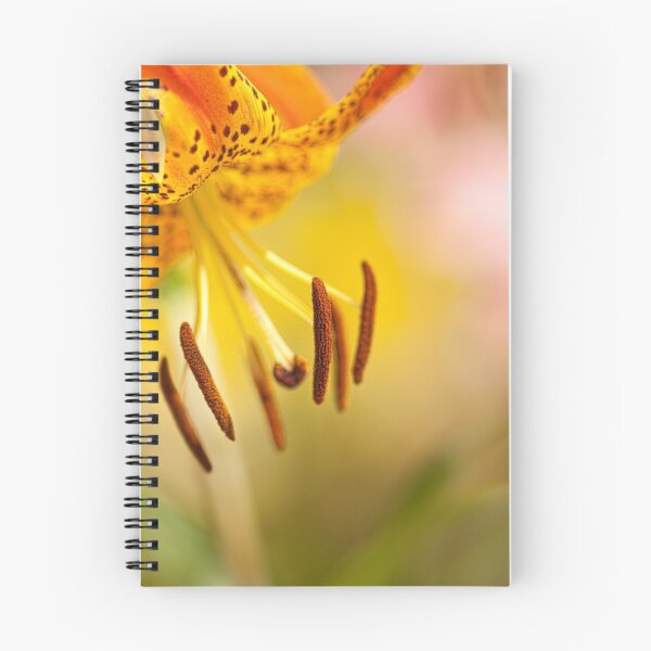 Item preview, Start Each Day Anew designed and sold by Marilyn Cornwell.