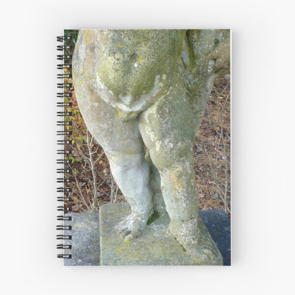 Artikelvorschau, Cherub entworfen und verkauft von Hekla Hekla.