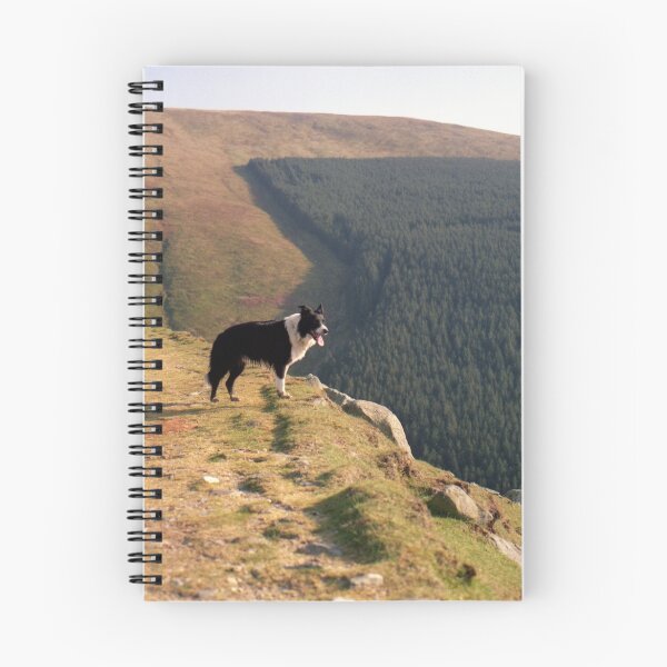 Item preview, Indy at Aber designed and sold by Michael Haslam.