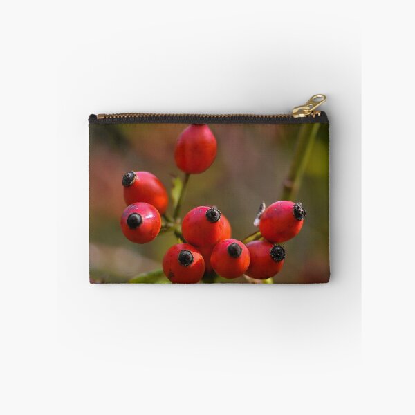 Item preview, Rosehip. Brier Branch.  designed and sold by busurman.