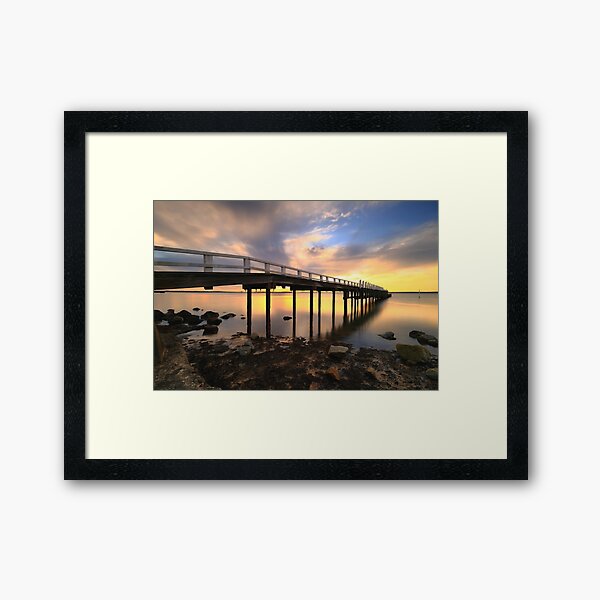 Framed Print