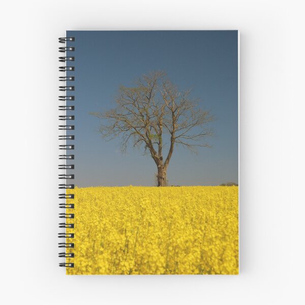 Item preview, Spring Time in Sweden designed and sold by Richard Dennis.