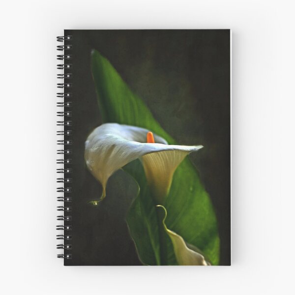 Item preview, "Only a Tear Away ..." designed and sold by Rosehaven.