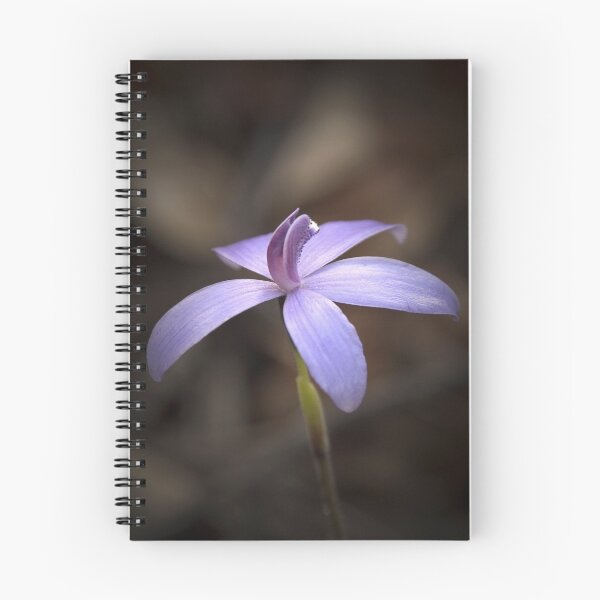 Item preview, "Little Blue Native Orchid" designed and sold by Heather Thorning.