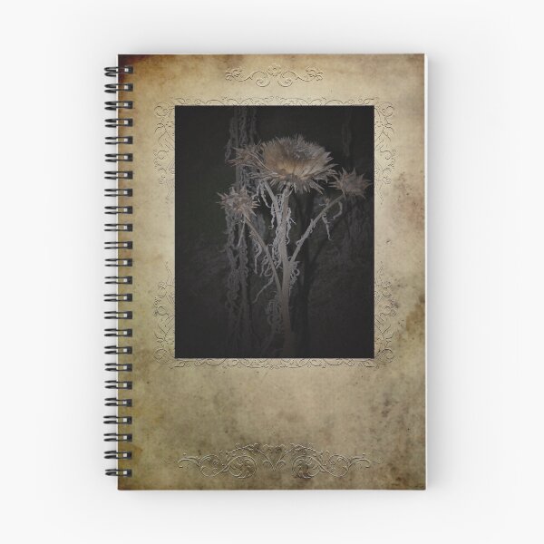 Item preview, Am I Pretty designed and sold by Rozalia Toth.