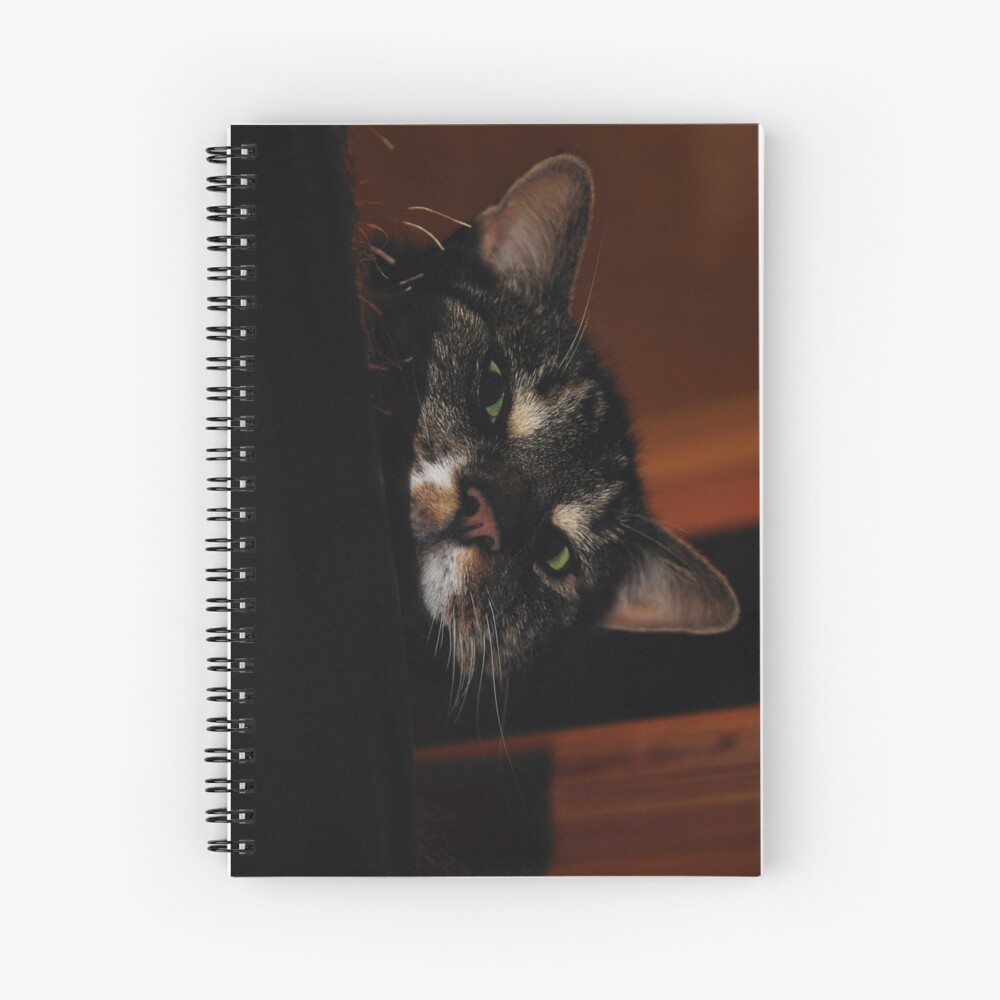 Item preview, Spiral Notebook designed and sold by pauleden.