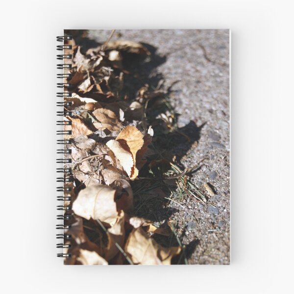 Item preview, Curbed   designed and sold by ND  Photography.
