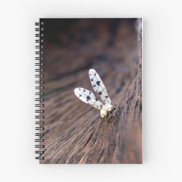 Item preview, Spotted Snow-drop, Derbid Plant Hopper designed and sold by Carla Wick/Jandelle Petters.