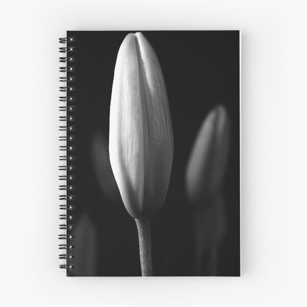 Item preview, Lily was here designed and sold by Ronny Falkenstein.