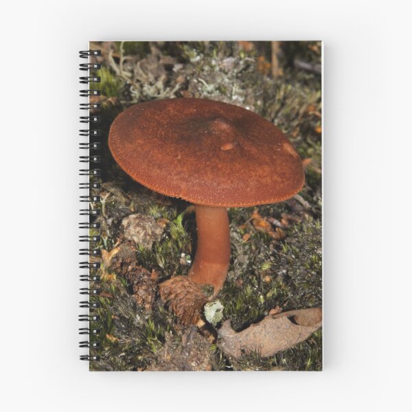 Item preview, Autumn mushroom designed and sold by Grandalf.