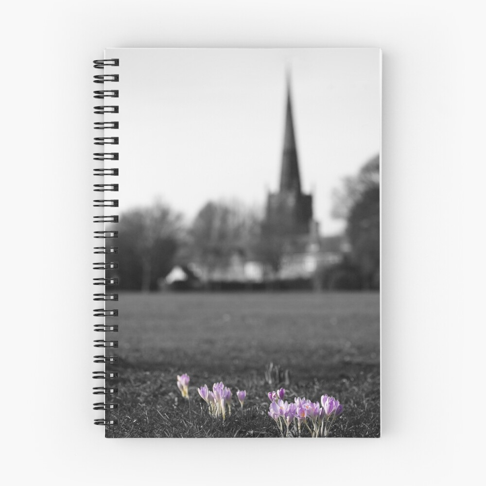 Item preview, Spiral Notebook designed and sold by ChrisSinn.