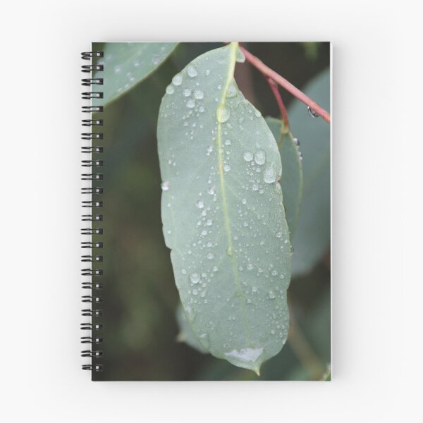 Item preview, After the Rain designed and sold by Sally Haldane.