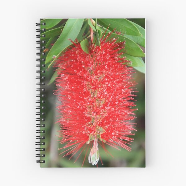 Item preview, Bottle Brush After the Rain designed and sold by Sally Haldane.