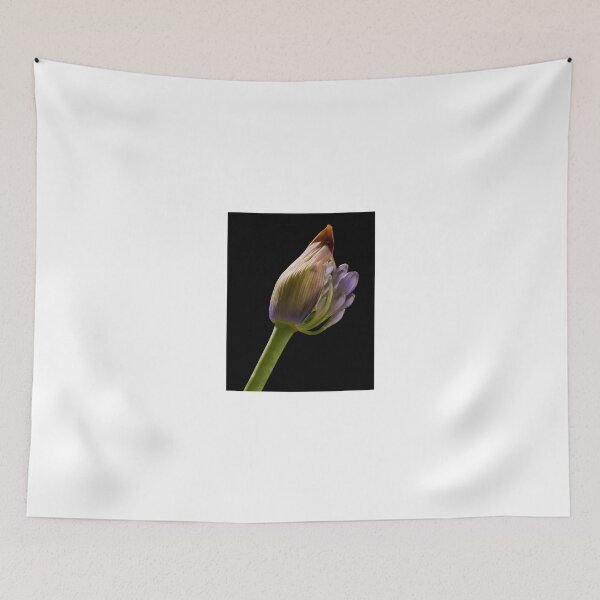 Item preview, Agapanthus 2 designed and sold by David  Hibberd.