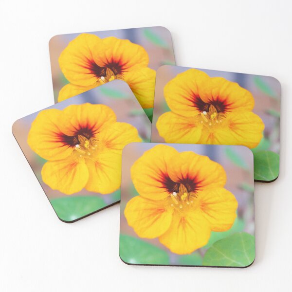Item preview, November Nasturtium designed and sold by Kasia Design.