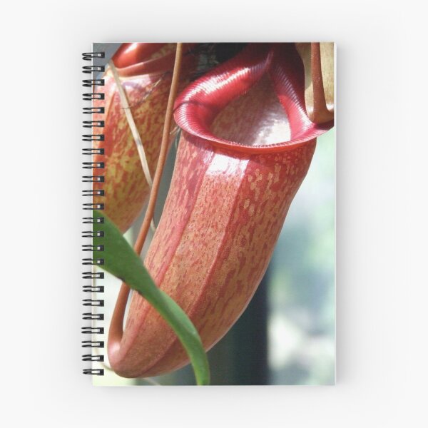 Item preview, Pitcher this designed and sold by Paul Todd.