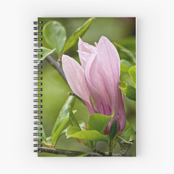 Item preview, Beauty of a Flower designed and sold by Tracey Dryka.
