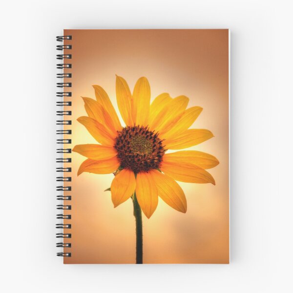Artikelvorschau, Sunflower v Sunset entworfen und verkauft von Bob Larson.
