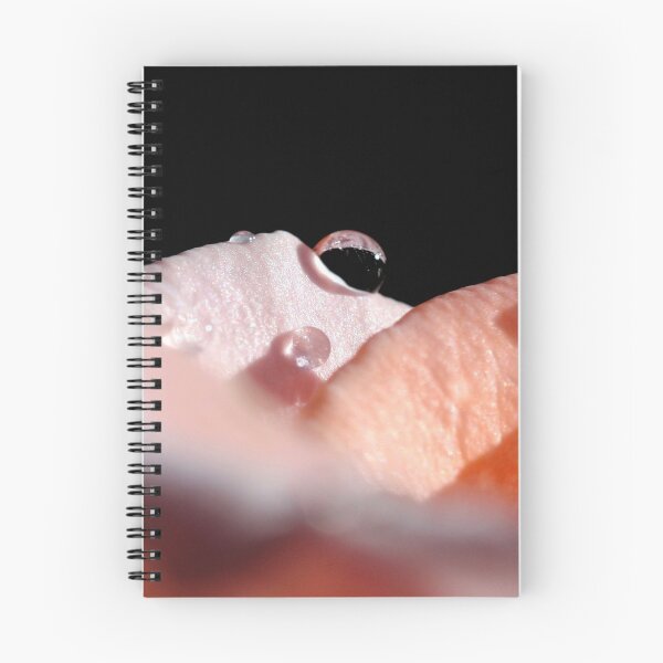 Item preview, "The Raindrop..." designed and sold by Rosehaven.