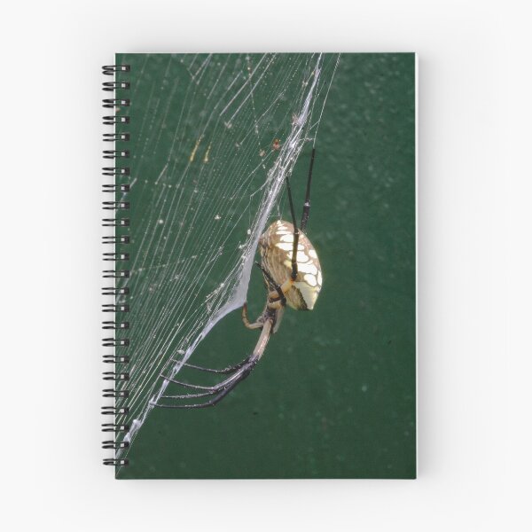 Item preview, Black & Yellow Argiope designed and sold by Jeff VanDyke.