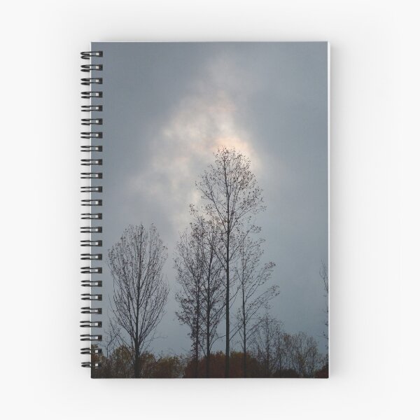Item preview, Reaching for the Sun designed and sold by Gordon Taylor.
