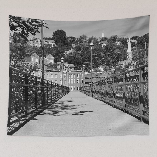 Item preview, Galena Footbridge, Grant Park designed and sold by mamamur.