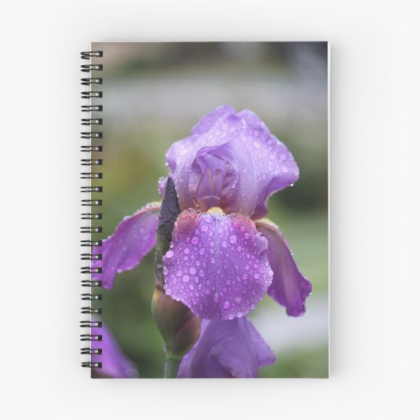 Artikelvorschau, Rain Drops Keep Falling On My Head... entworfen und verkauft von Laura K Wright.