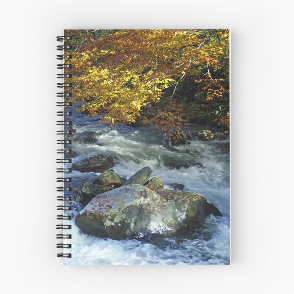 Item preview, Autumn Creek designed and sold by crystalventerseye.